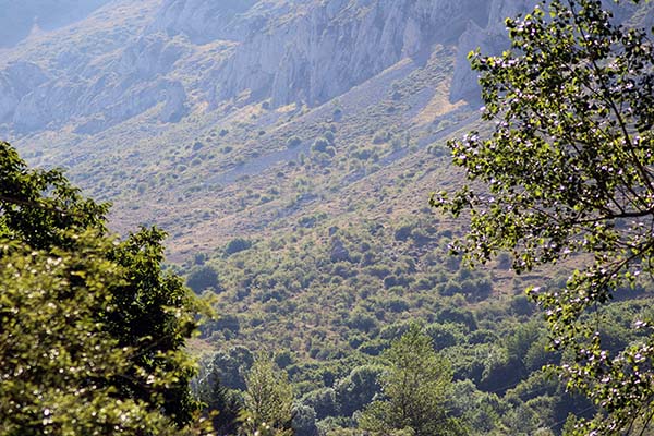 Vista de una braña asturiana