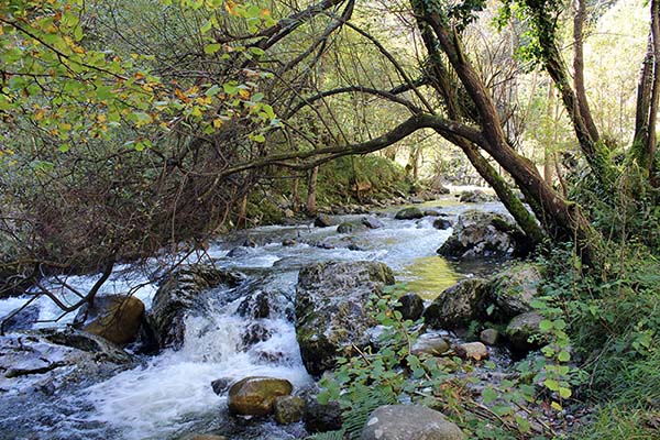 Río asturiano en su curso alto