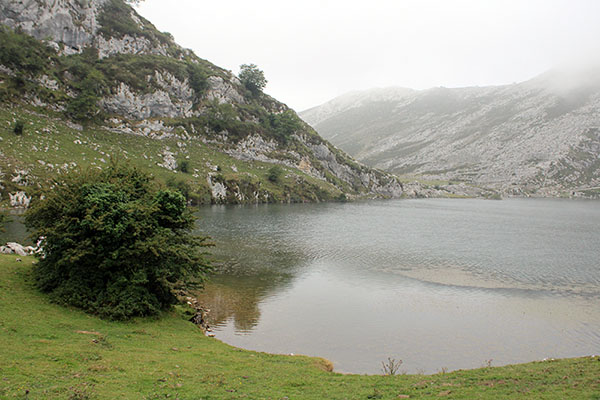 Lago Enol en Covadonga en Asturias