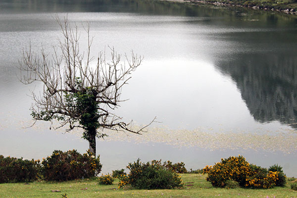 Lago Enol en Covadonga en Asturias