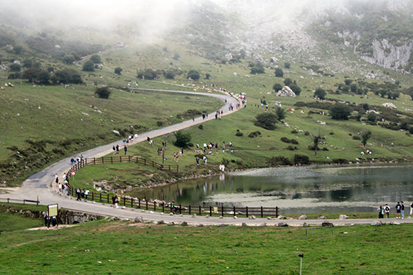 Entorno del lago Enol en Covadonga en Asturias