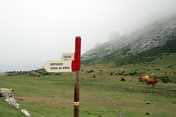 Entorno del lago Enol en Covadonga en Asturias