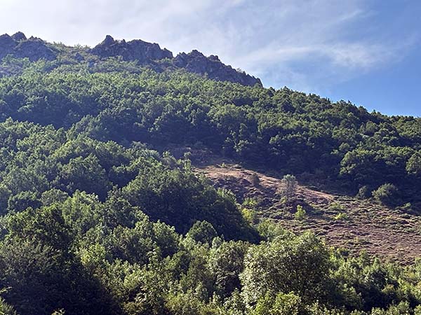 Valle asturiano poblado de arbustos