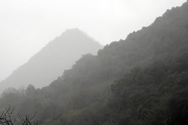 Niebla en Asturias