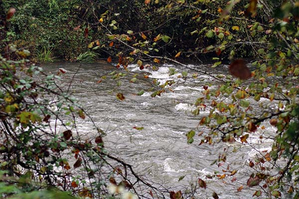 Río en Asturias
