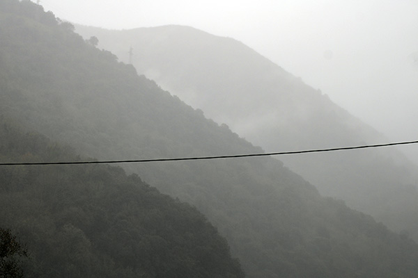 Niebla en Asturias