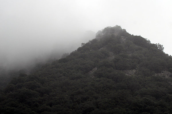 Niebla en Asturias
