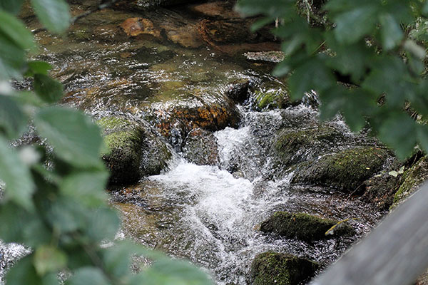 Riachuelo de montaña asturiano