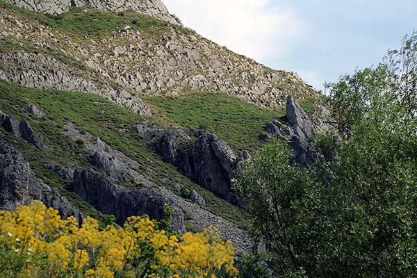 Braña de montaña asturiana