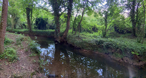 Río asturiano en su curso medio