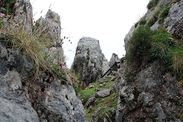 Paisaje de los lagos de Covadonga en Asturias