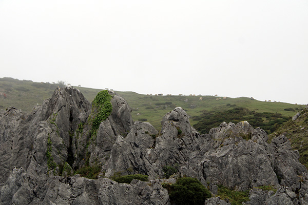 Riscos y pradería de montaña en el entorno de los lagos de Covadonga en Asturias