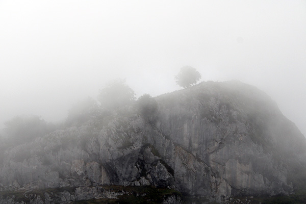 Niebla en la montaña asturiana