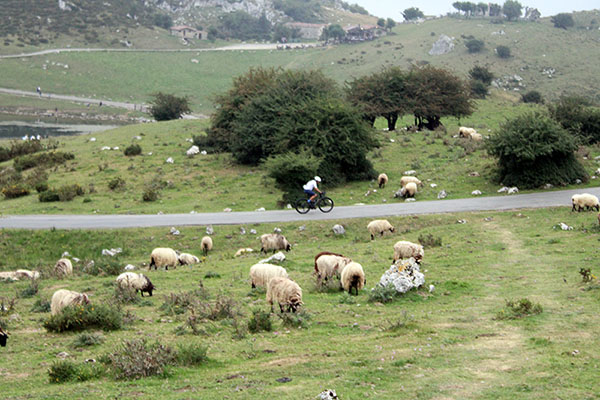 Ciclista en los lagos de Covadonga en Asturias