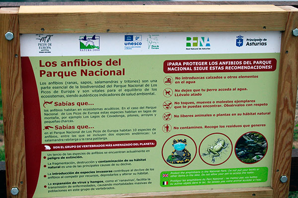 Panel informativo sobre los anfibios que habitan el entorno de los lagos de Covadonga en Asturias