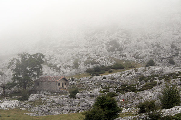 Cabaña de pastores en la Vega de Enol en los lagos de Covadonga en Asturias