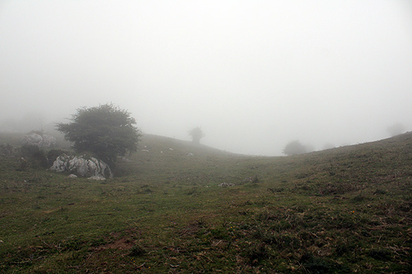 Silencio en los lagos de Covadonga en Asturias