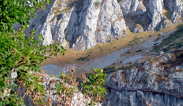 Pedregal de montaña en la cordillera Cantábrica