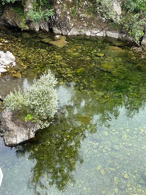 Poza de un río asturiano