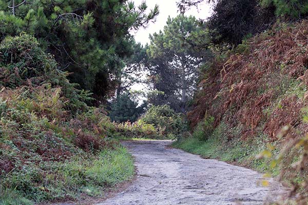 Senda de Xivares a Aboño en Asturias