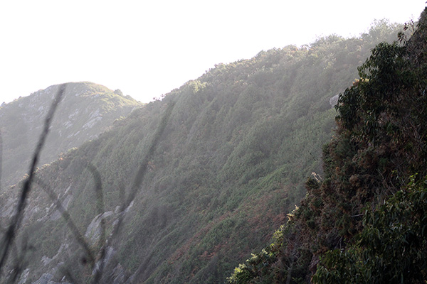 Senda entre Xivares y Perlora en Asturias