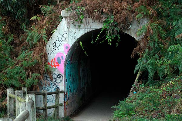 Tunel en la senda entre Xivares y Perlora en Asturias