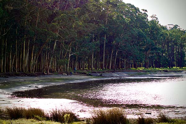Ría de Navia en la zona de "la poza"