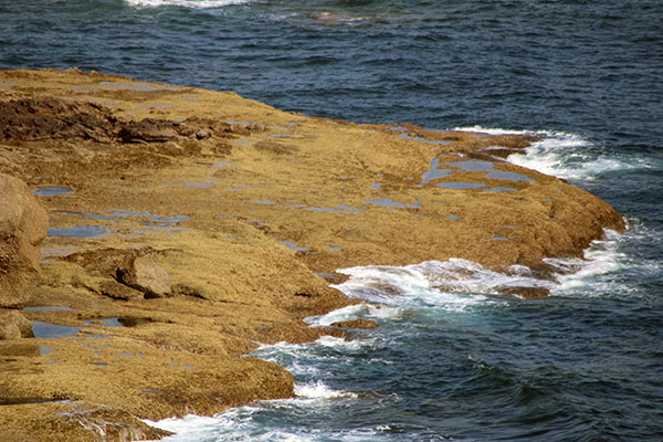 Pedrero en el litoral de la costa verde asturiana