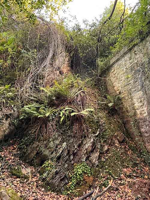 Senda entre Xivares y Perlora en Asturias