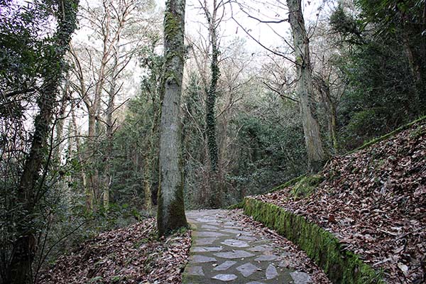 Senda de los miradores en Asturias