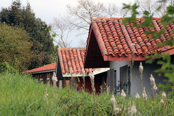 Casas de Perlora en Asturias