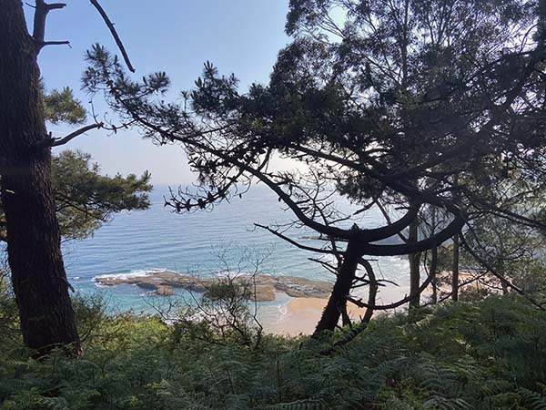 Vista de la playa de la Ñora en Gijón desde al senda peatonal